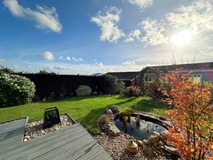 Pond- click for photo gallery